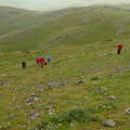 Irumagarrieta (513)